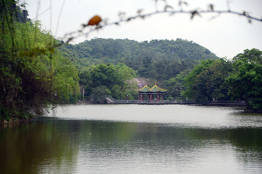 广西柳州都乐岩，一个有故事的地方！