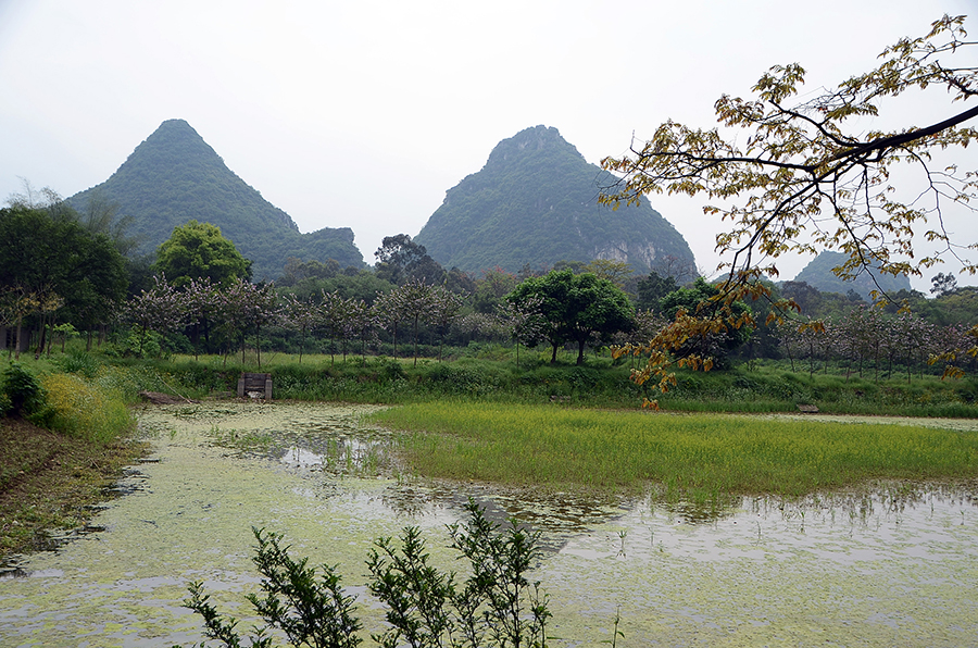 广西柳州都乐岩，一个..