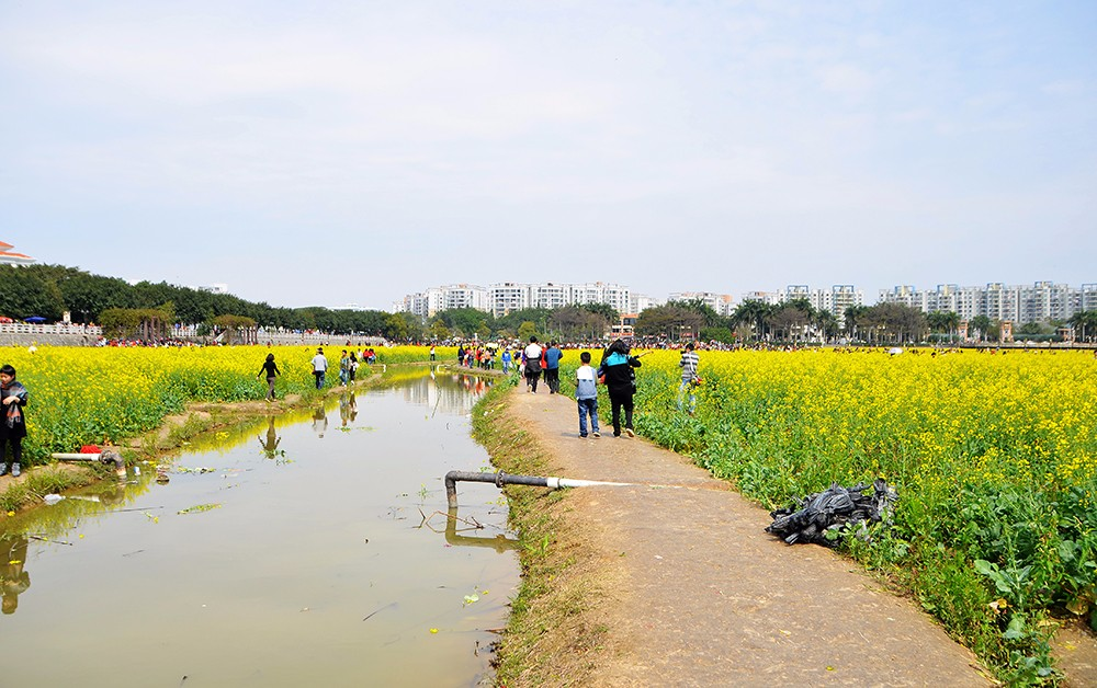 赏油菜花游玩归来