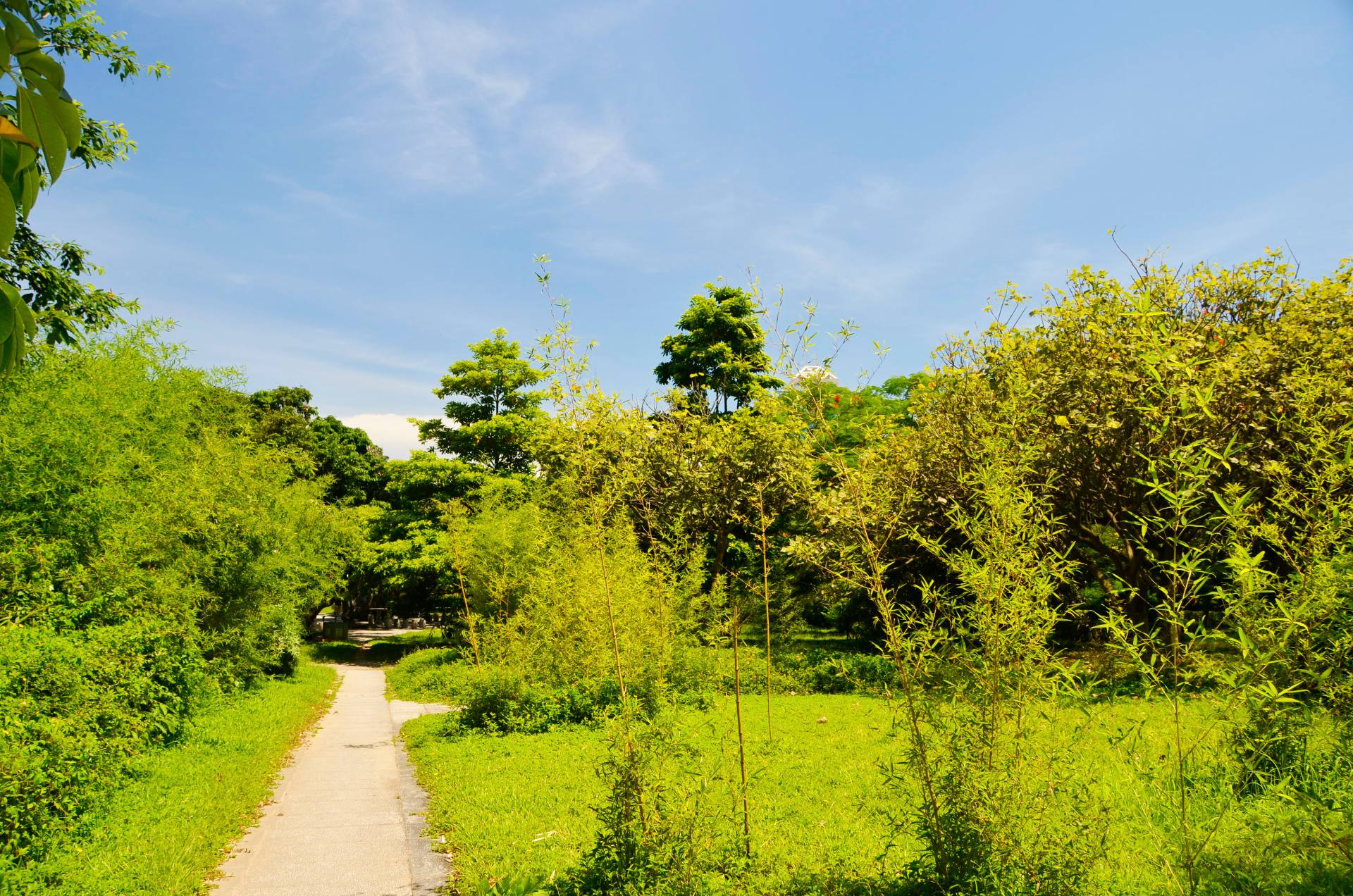 百里走单骑之南头古城-荔香公园-中山公园