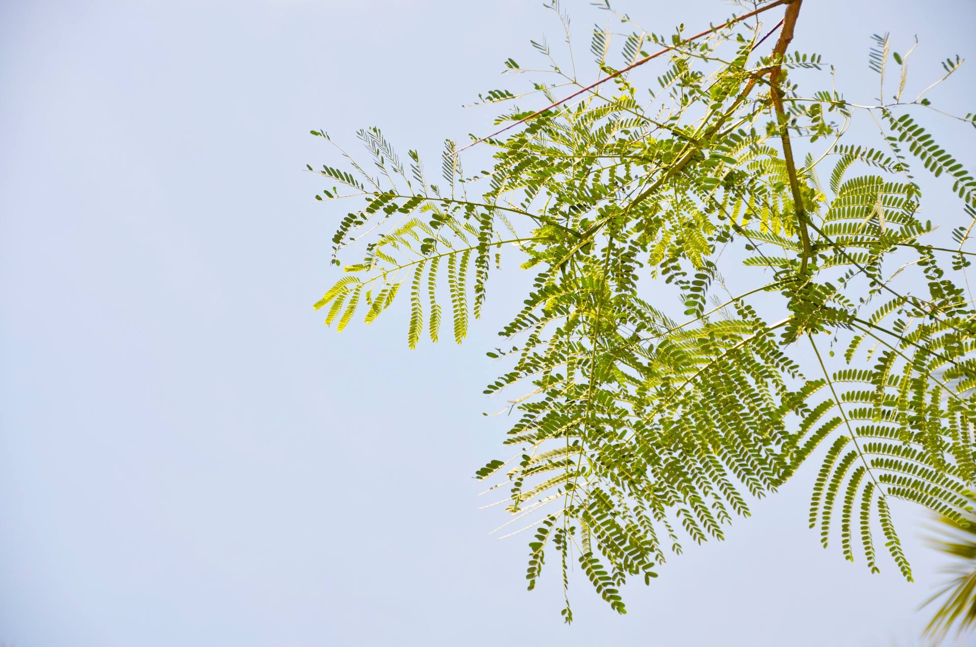 百里走单骑之南头古城-荔香公园-中山公园