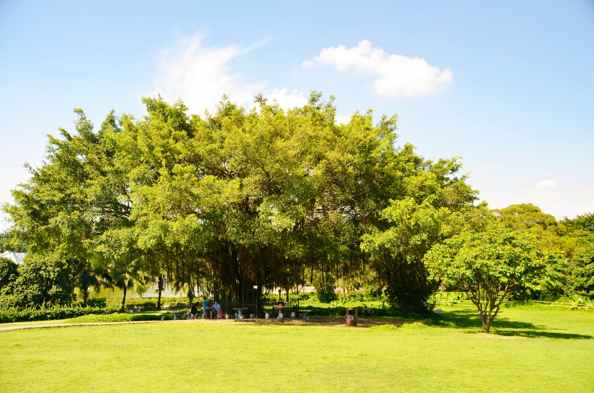 百里走单骑之南头古城-荔香公园-中山公园