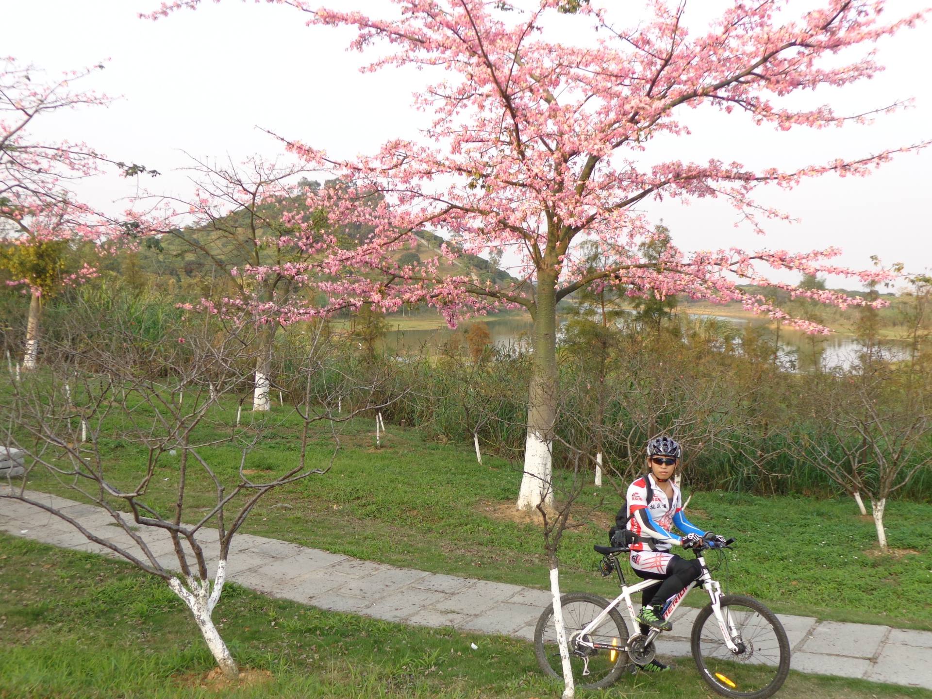 大岭山VS松山湖