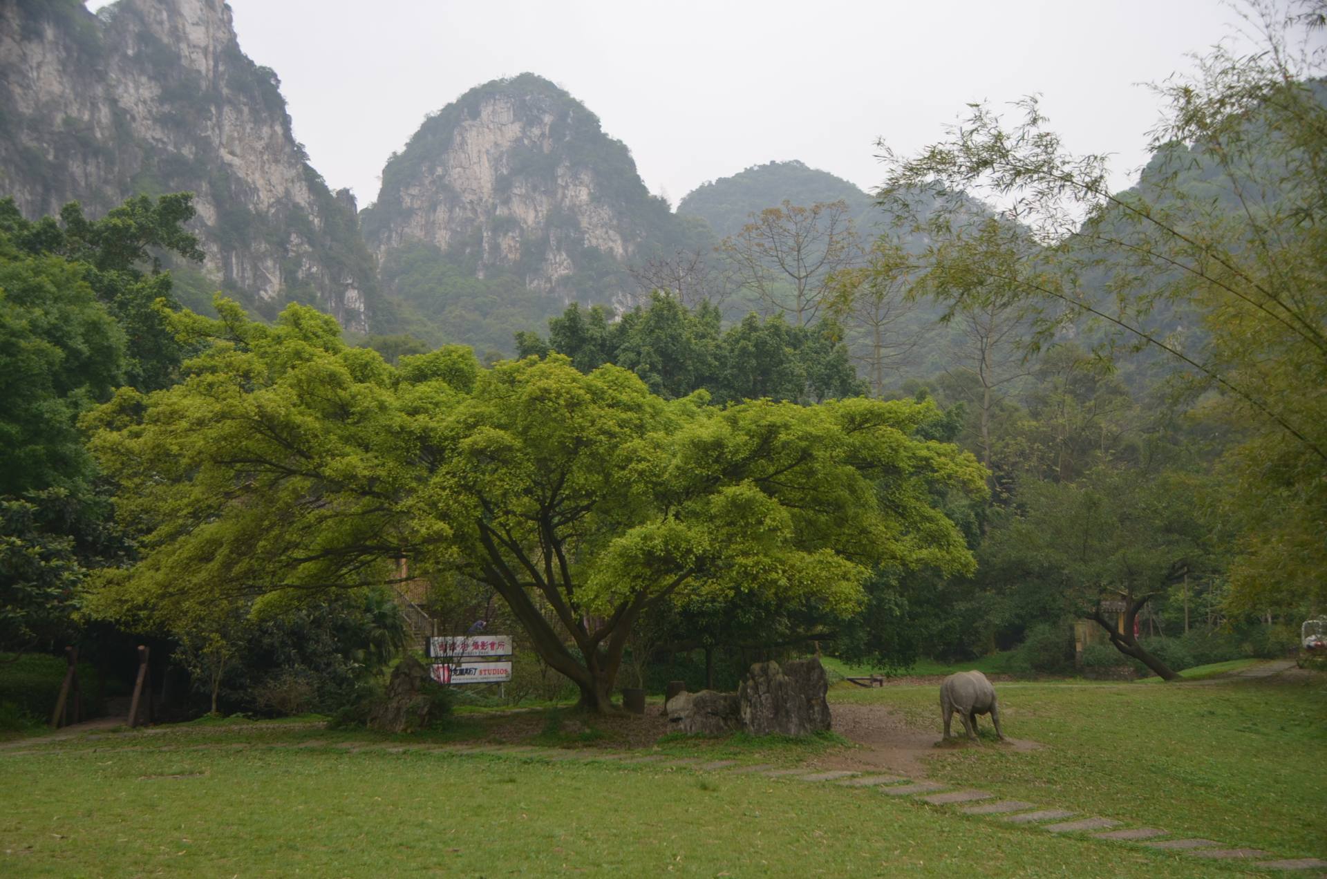 广西-柳州-大龙潭