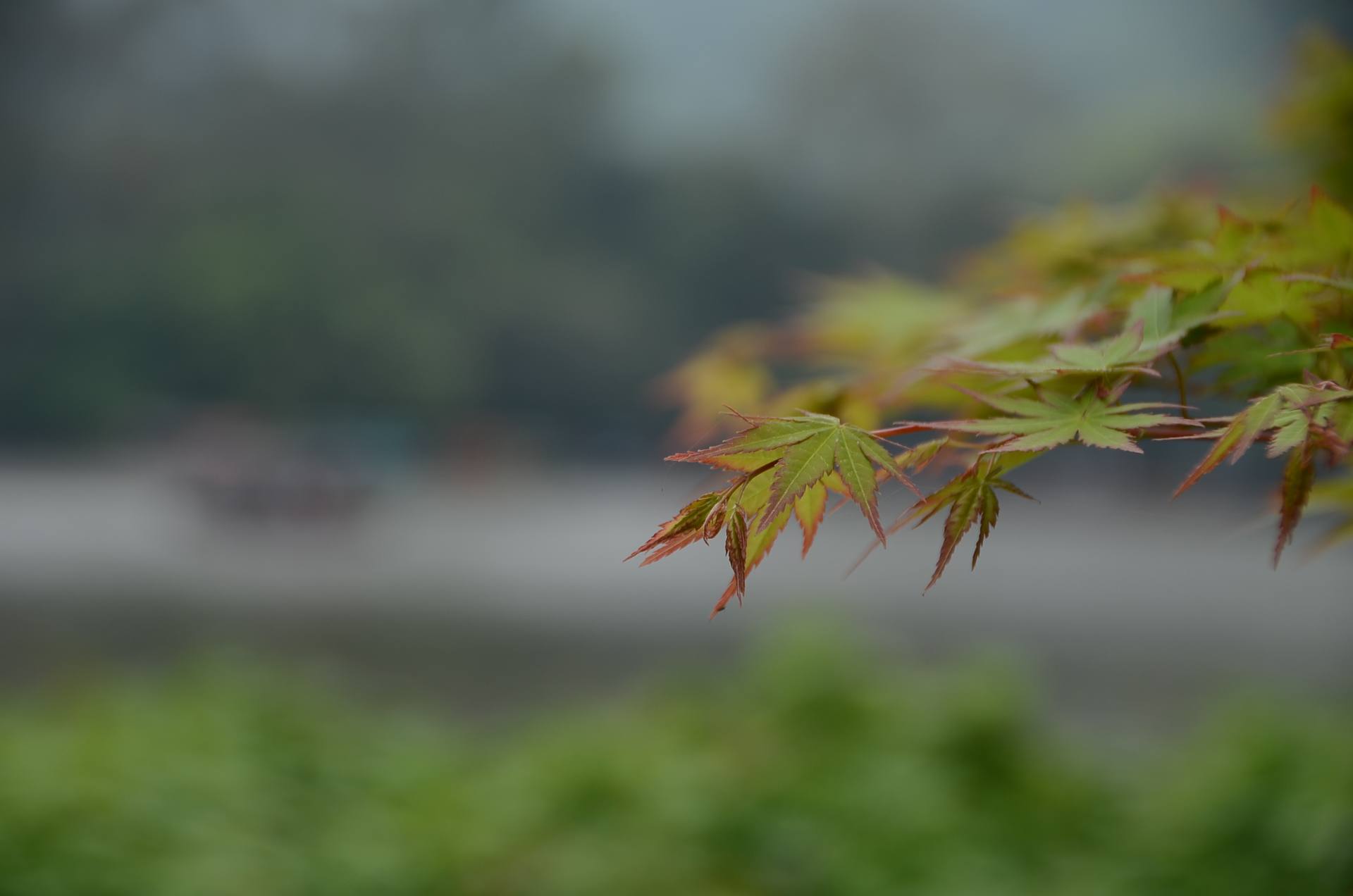 广西-柳州-大龙潭