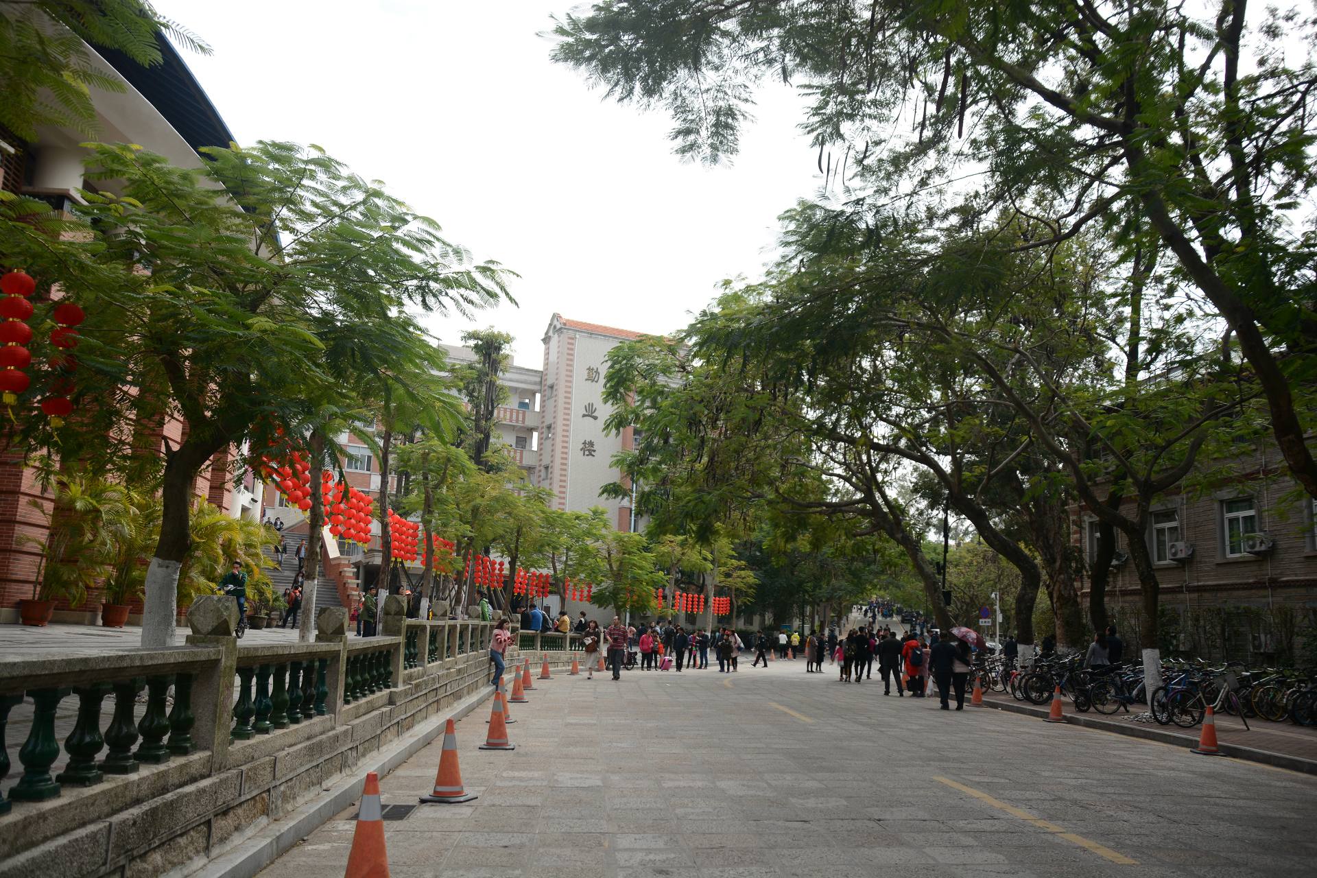 福建-厦门大学