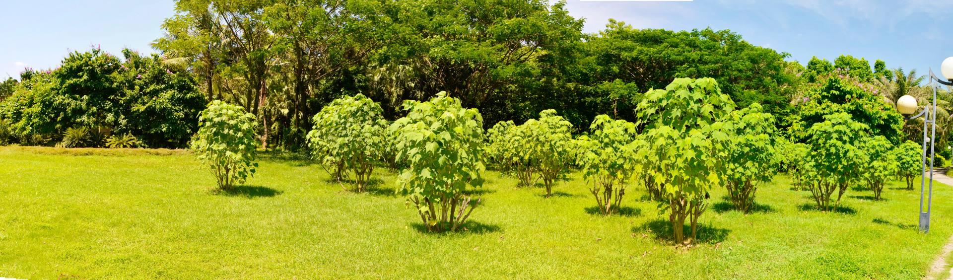 百里走单骑之南头古城-荔香公园-中山公园