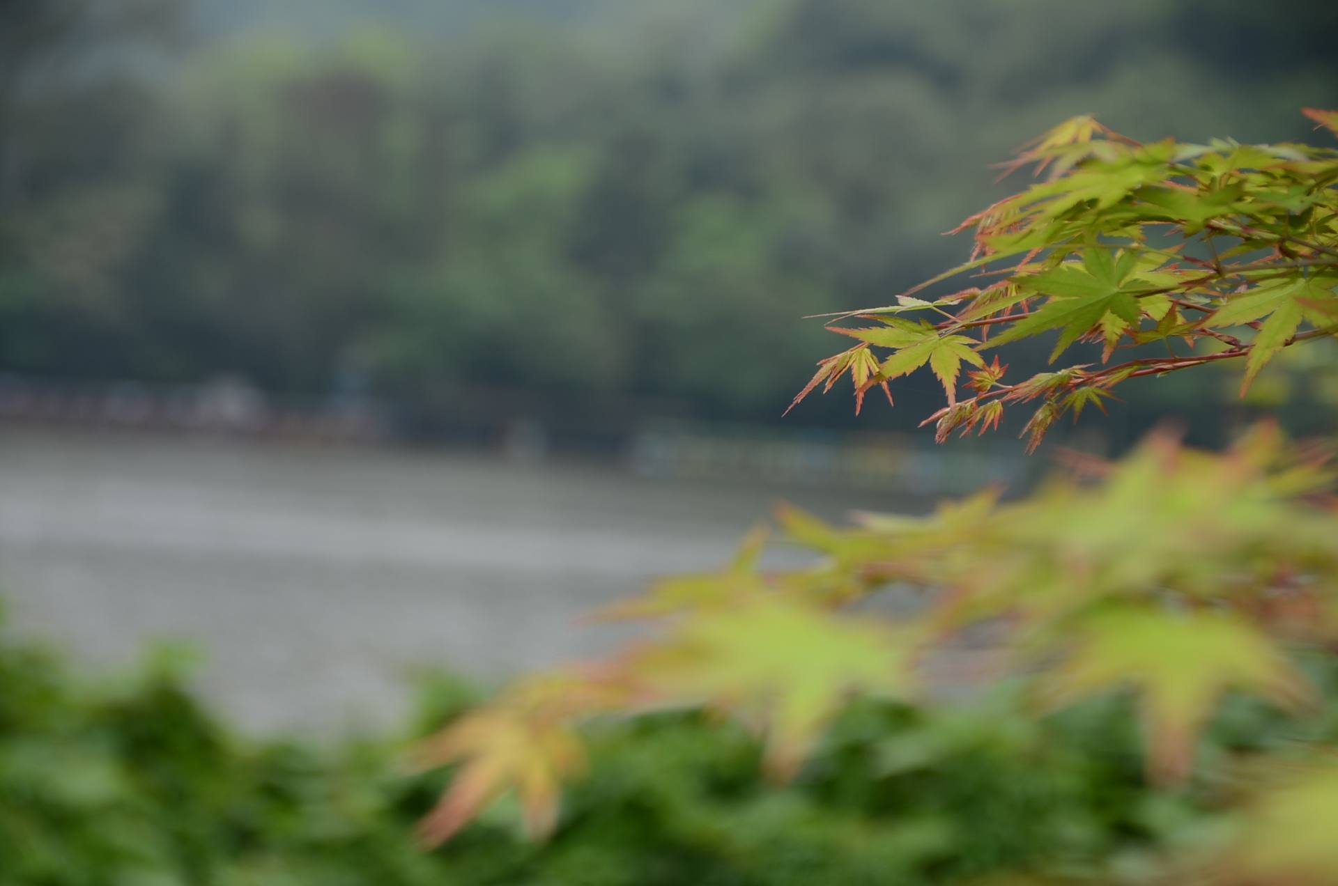 广西-柳州-大龙潭