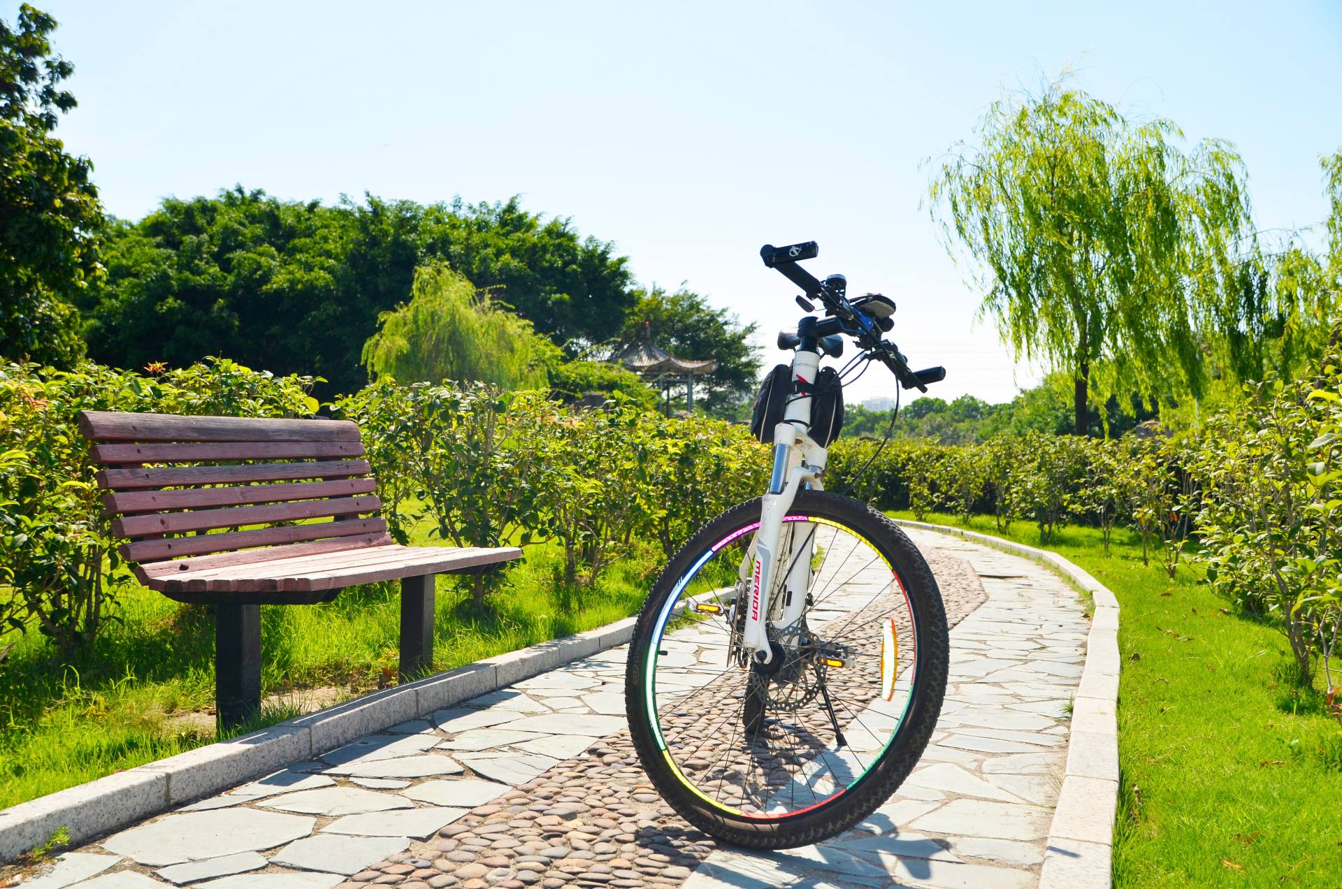 百里走单骑之南头古城-荔香公园-中山公园