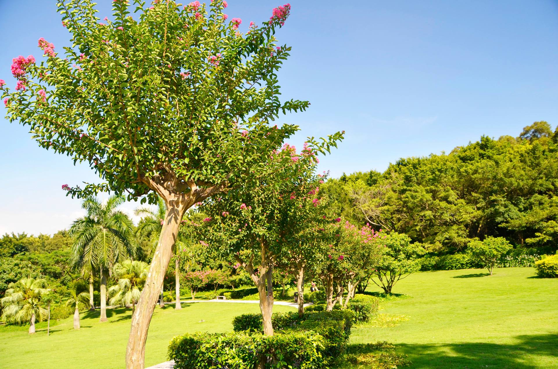 百里走单骑之南头古城-荔香公园-中山公园