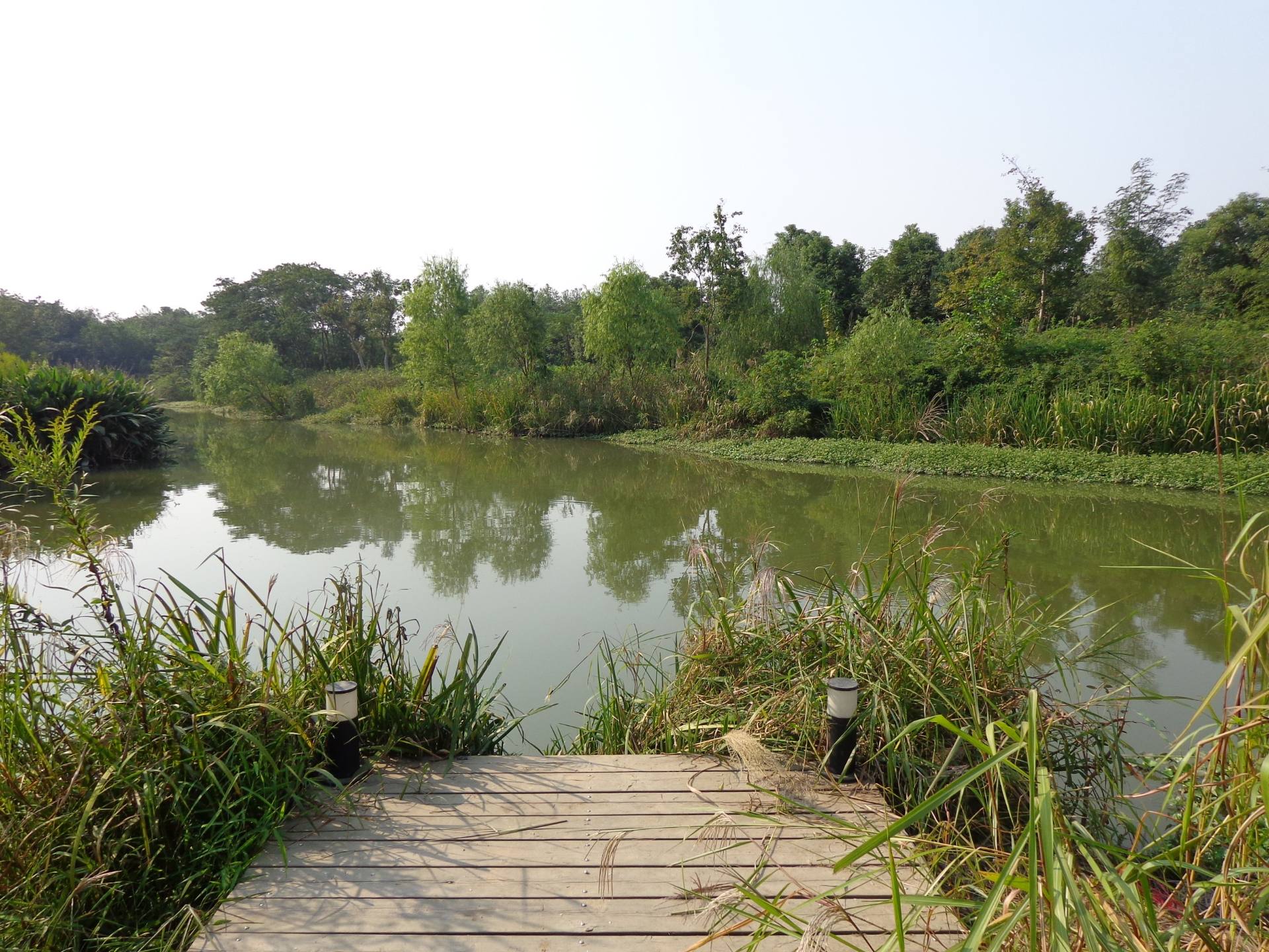 杭州-西溪湿地