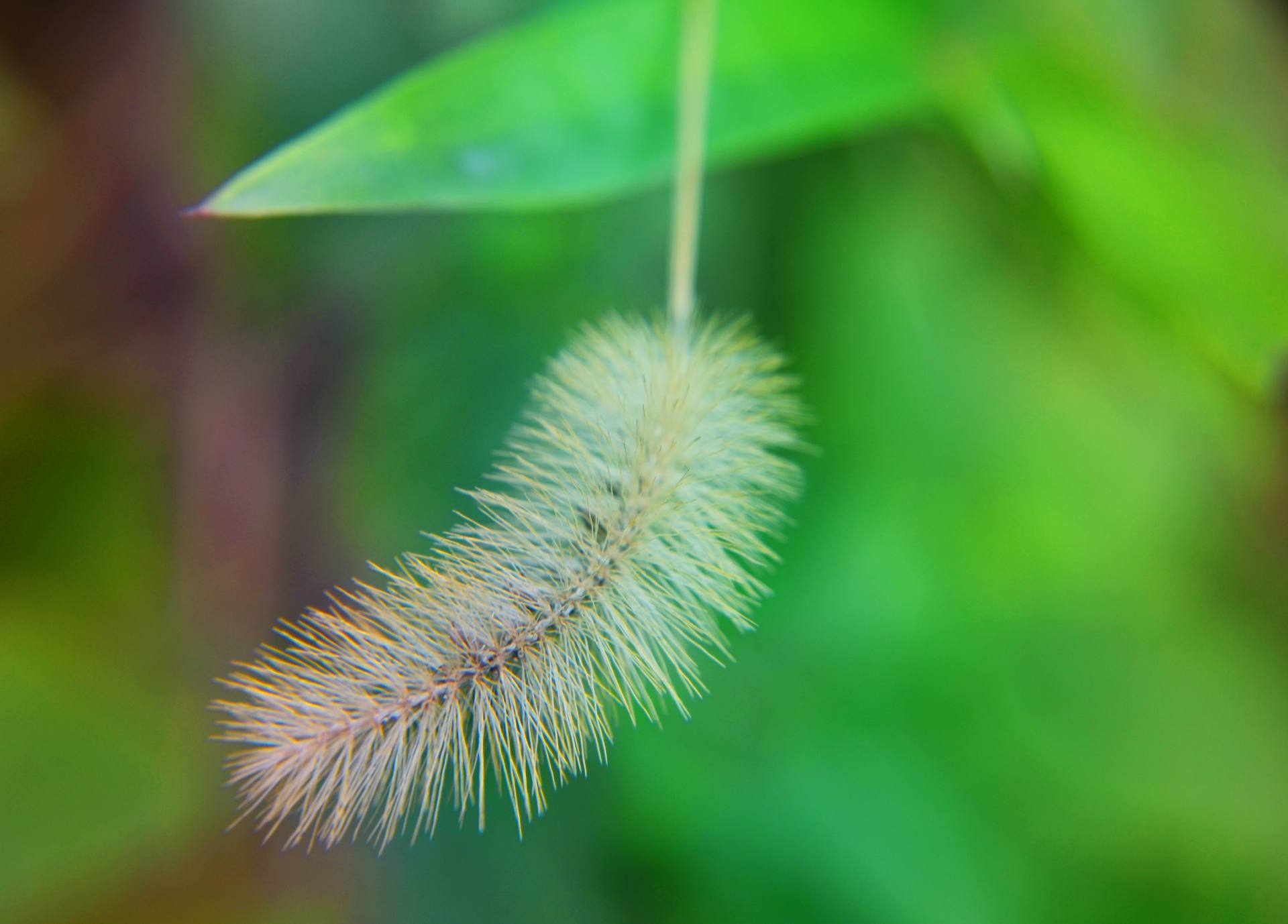 微世界：炫彩多姿