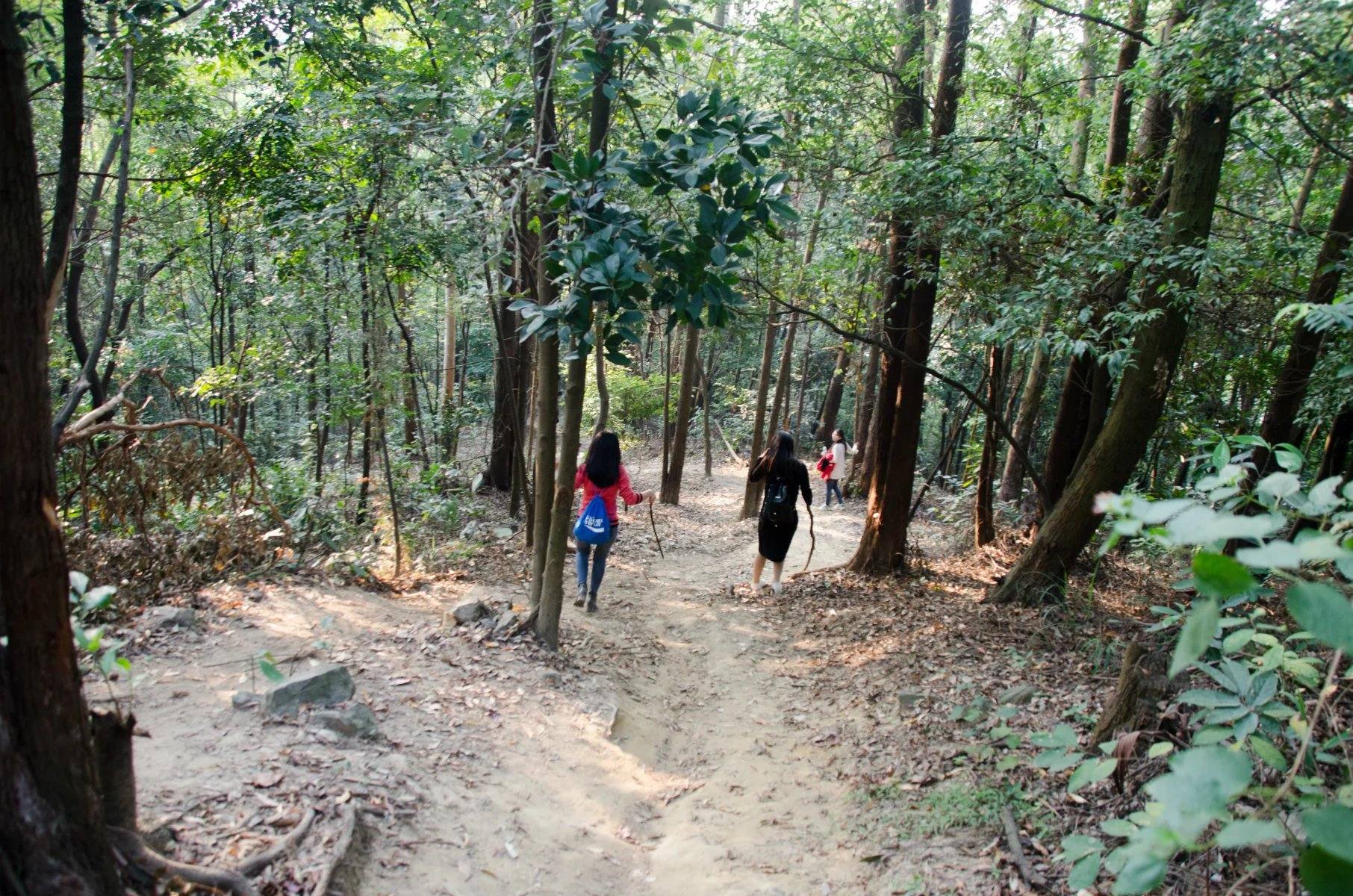 凤凰山越野+野炊