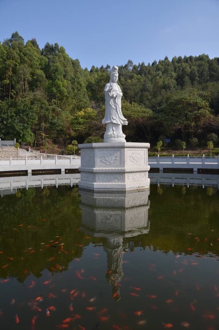 观音山摘草莓游记