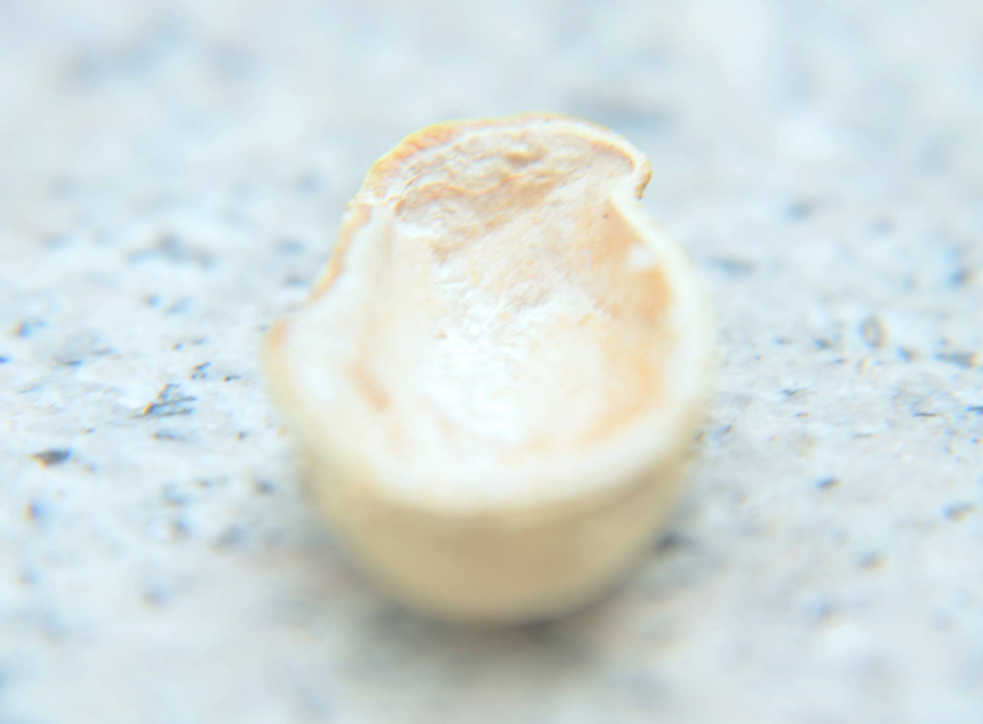 微世界：炫彩多姿