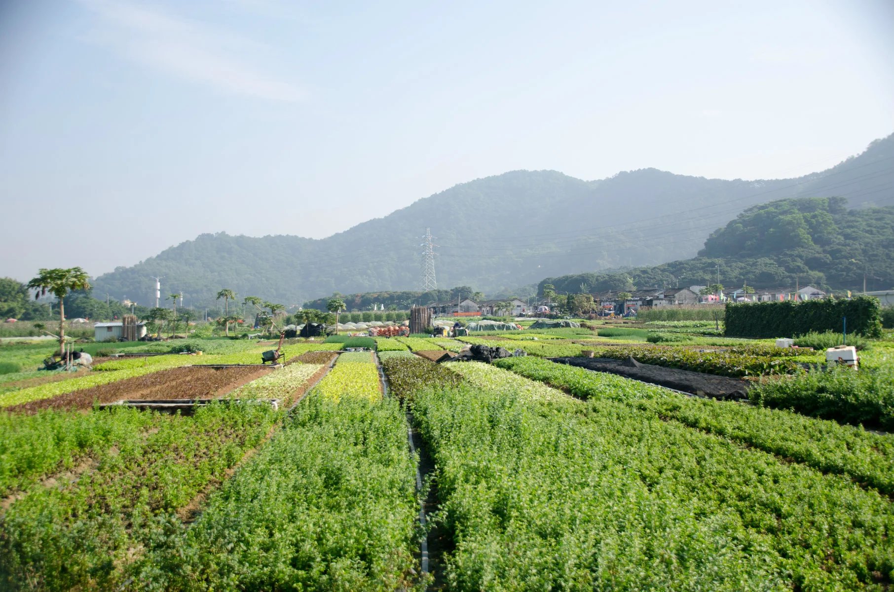 凤凰山越野+野炊