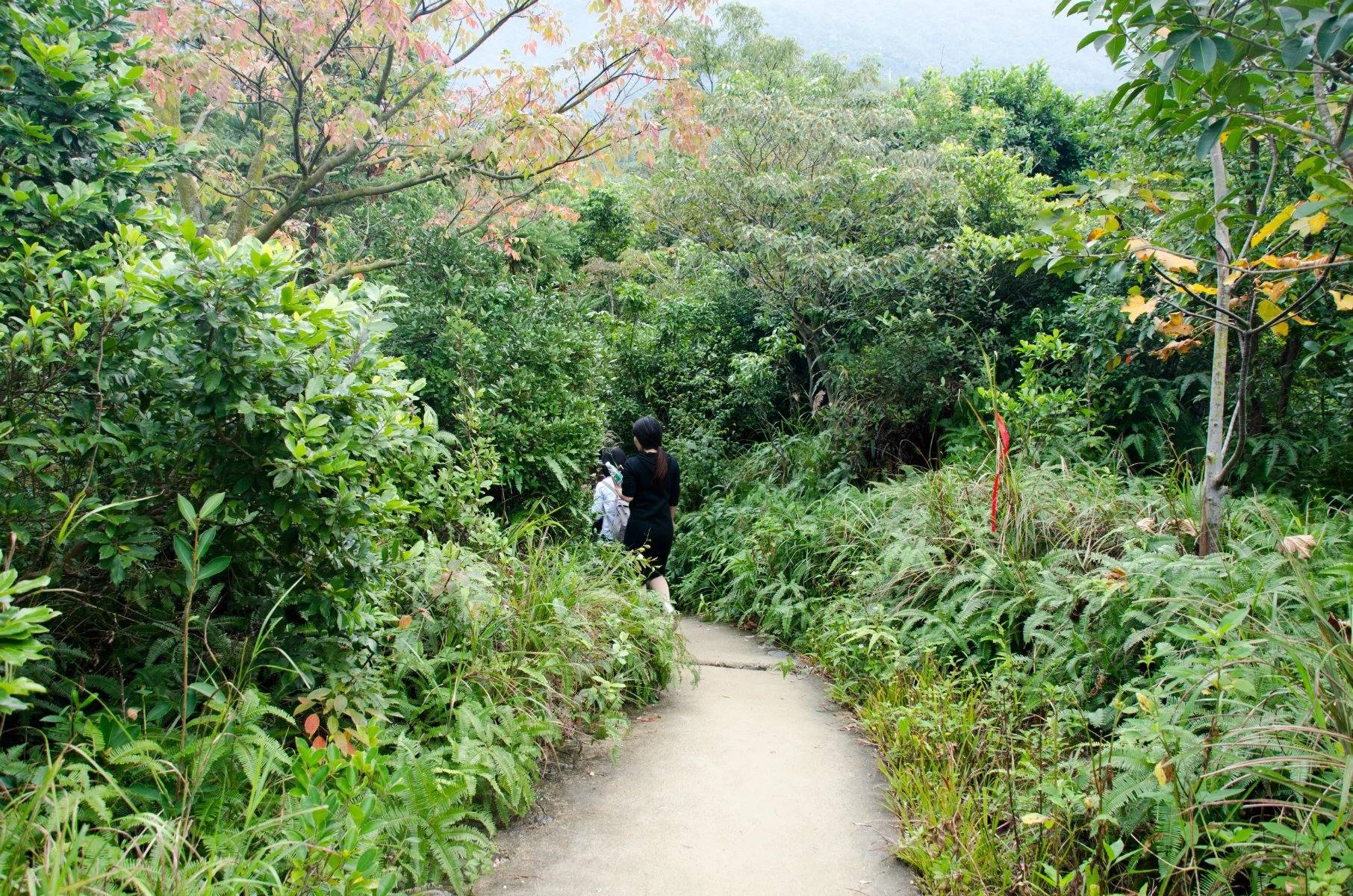 七娘山游玩