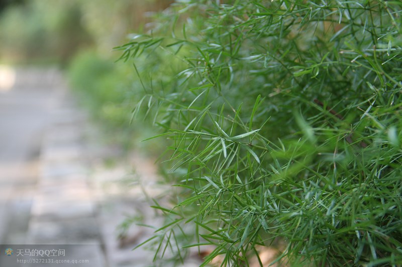 未来非著名摄影师和模特