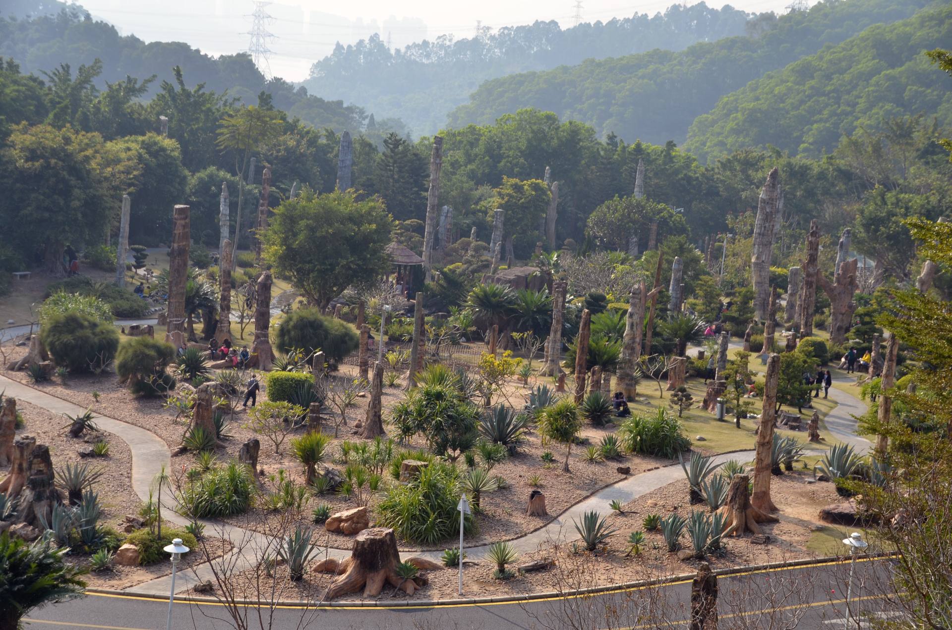 仙洪植物园