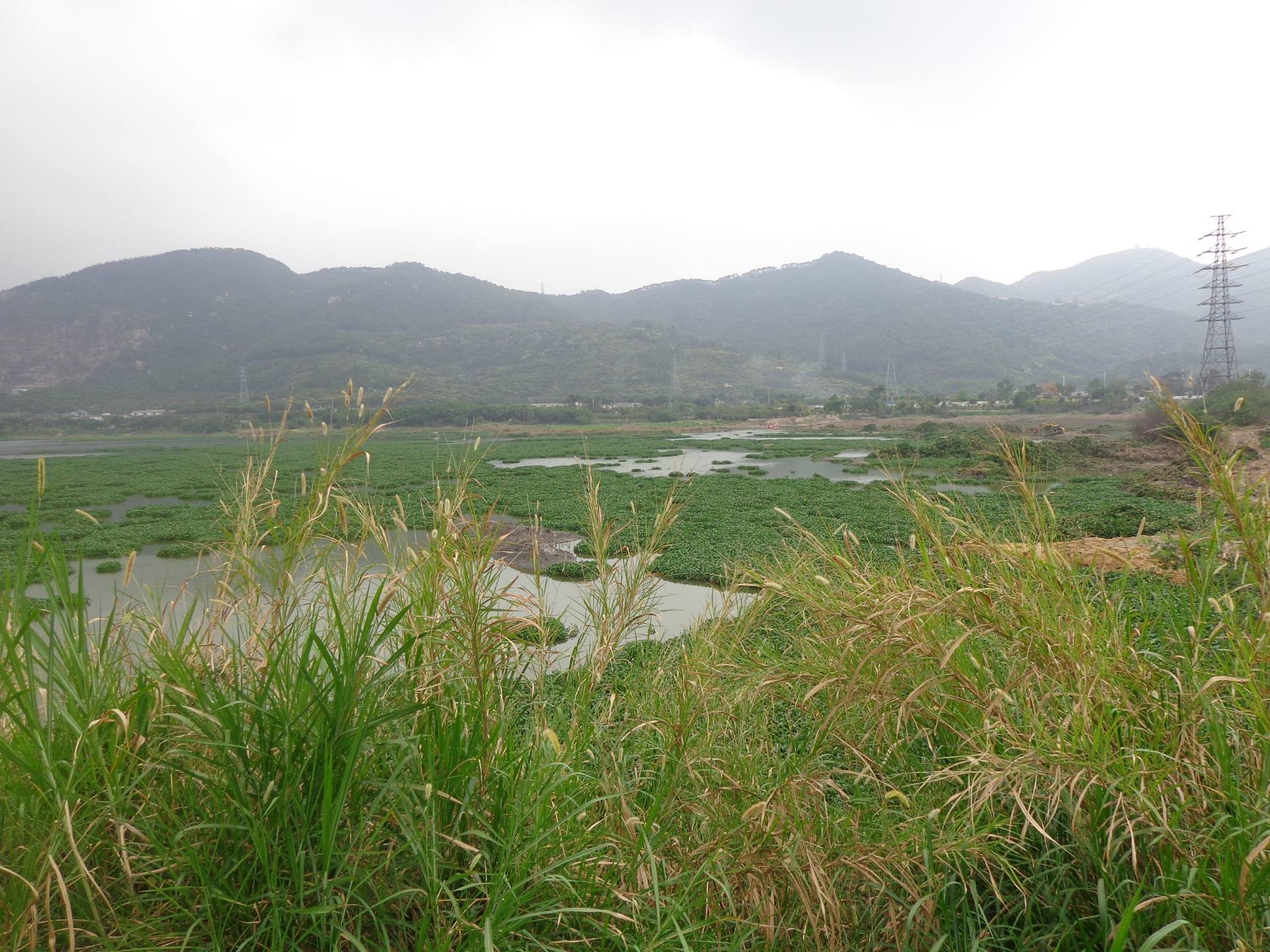 观音山踏青