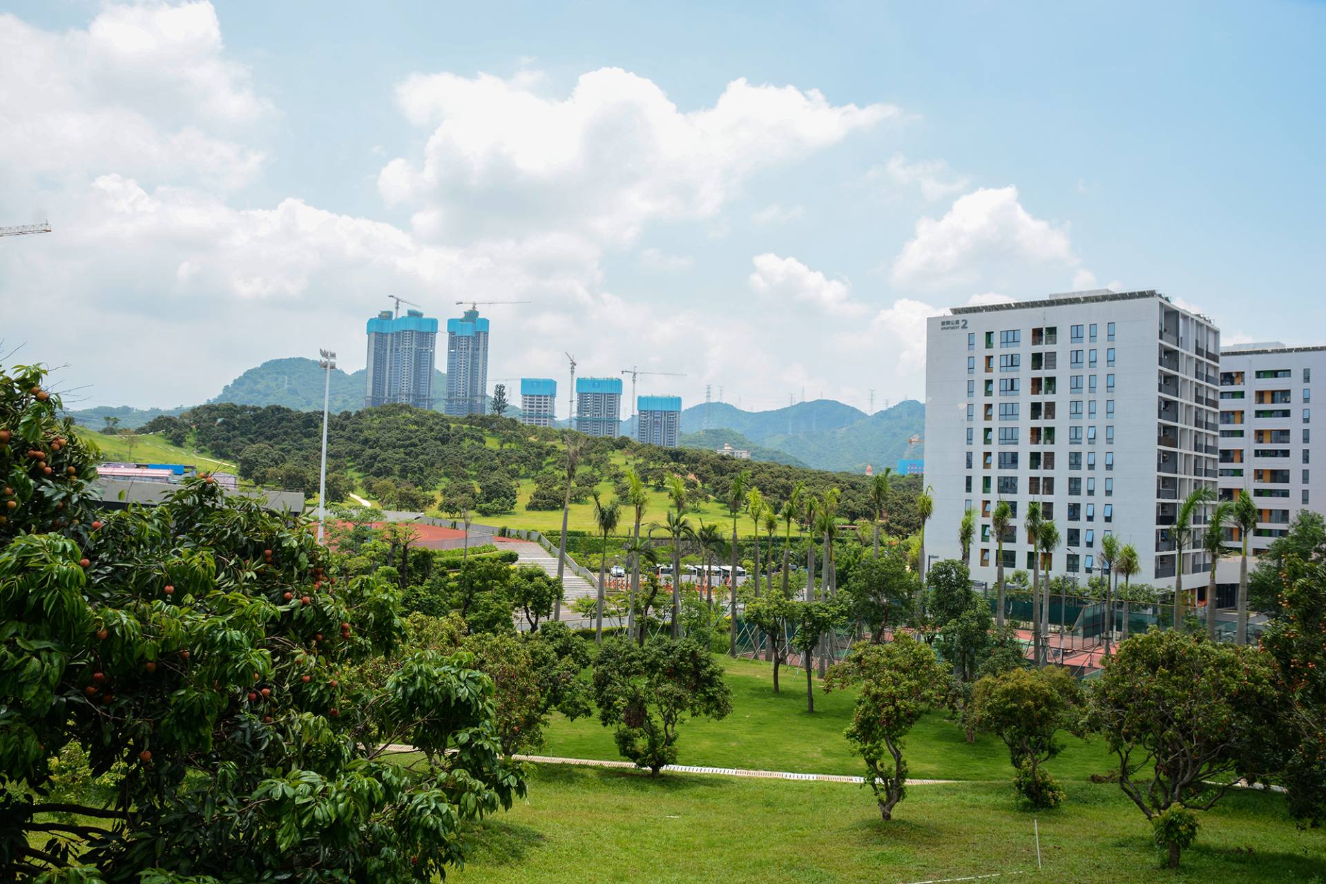 南方科技大学荔枝园