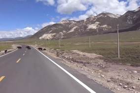 骑行西藏理塘到巴塘路上遇到牦牛挡道视频