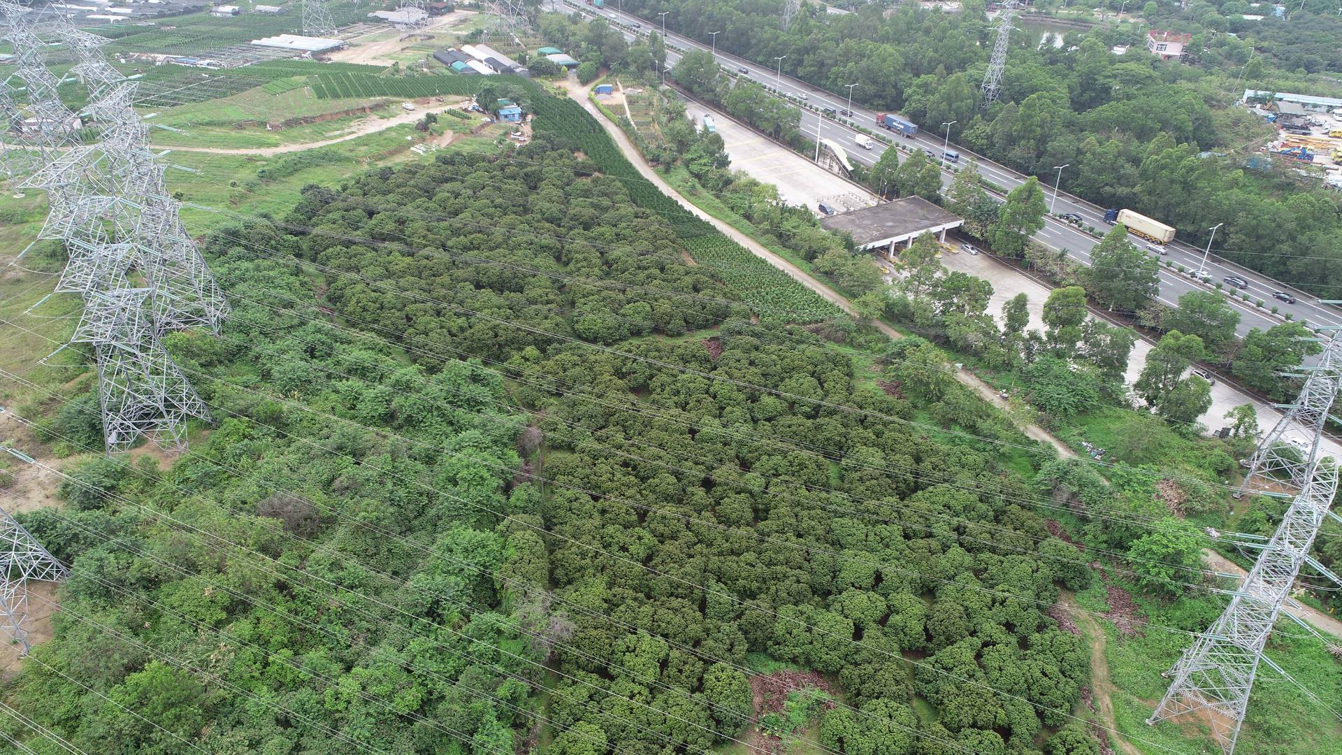 深圳宝石路荔枝园航拍图