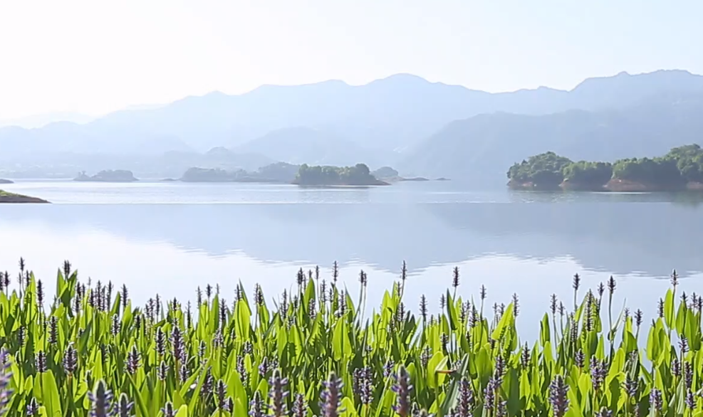 千岛湖湖景房拍摄..