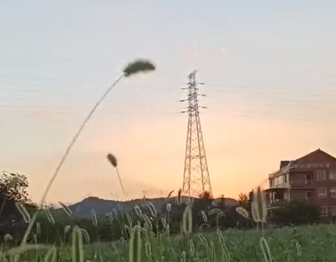 随风摇曳花伴舞，晚霞..