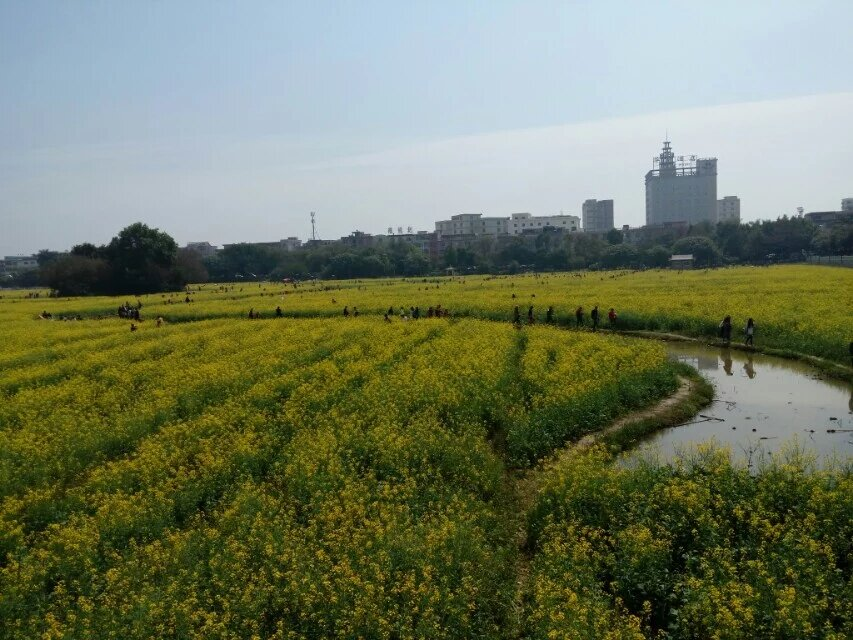 相约踏青松山湖