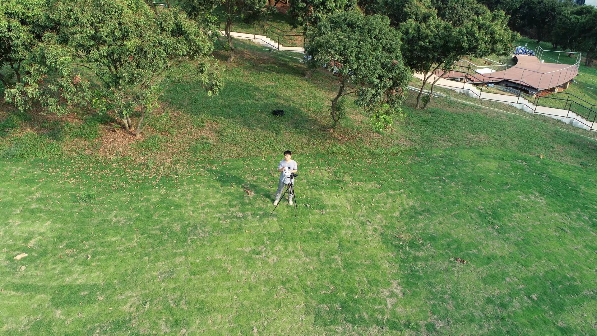 天美荔枝-南方科技大学基地（带你去旅行）